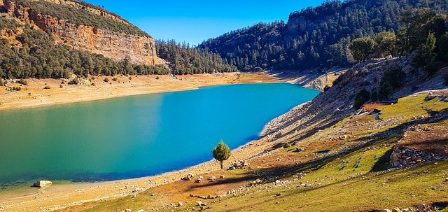 Free Lake Nature photo and picture