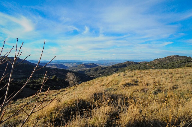 Free Nature Landscape photo and picture