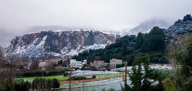 Free Winter Snow photo and picture