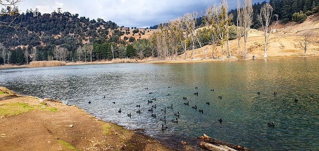 Free Lake Nature photo and picture