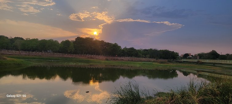 Parque, Naturaleza, Primavera, India
