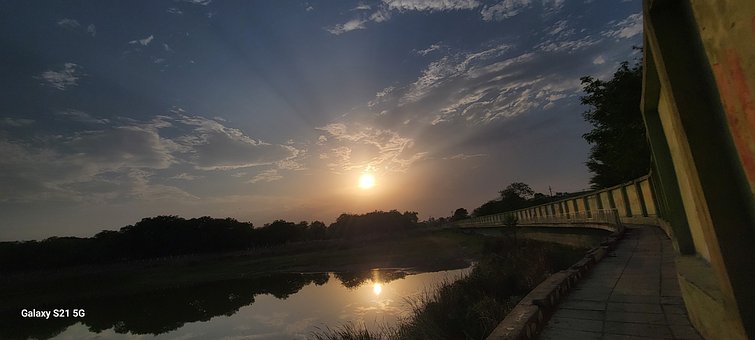 Parque, Naturaleza, India, Agua, Árboles