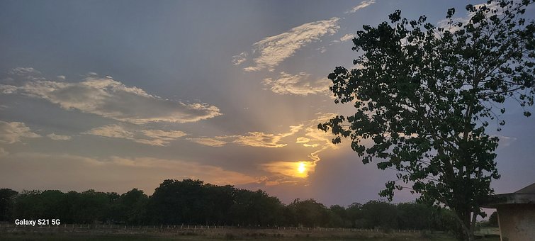 Parque, Naturaleza, Primavera, Tres