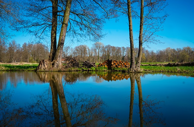 Free Spreewald Nature photo and picture