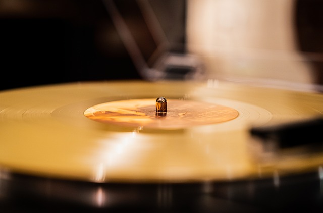 Disc De Vinil, Anii 2000, Anii 70
