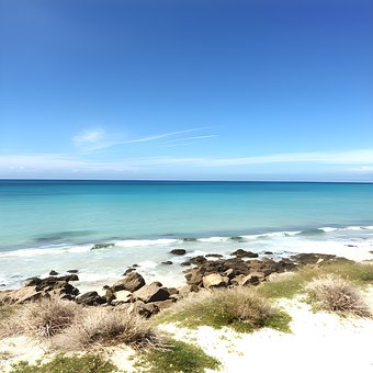 Free Beach Sea illustration and picture