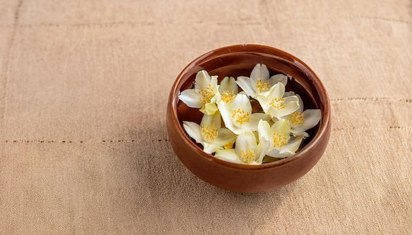 Free Jasmine Flowers White Flowers photo and picture