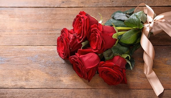 Free Roses Nature photo and picture