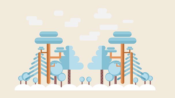 Skog, Design, Trær, Natur, Vinter