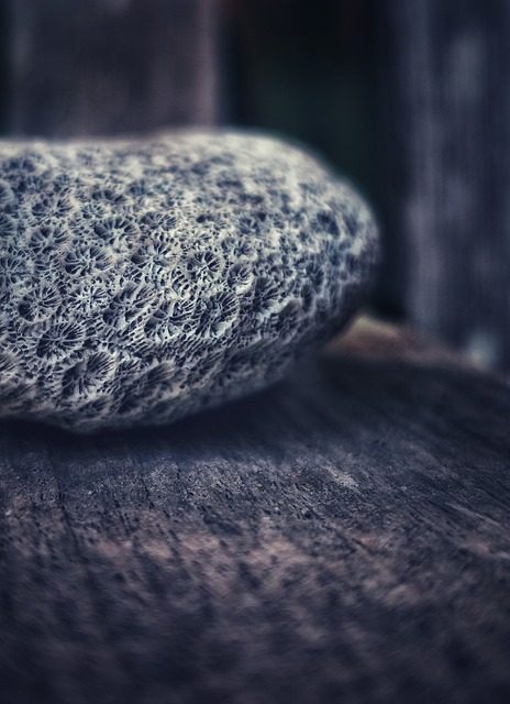Free Grey Stone photo and picture