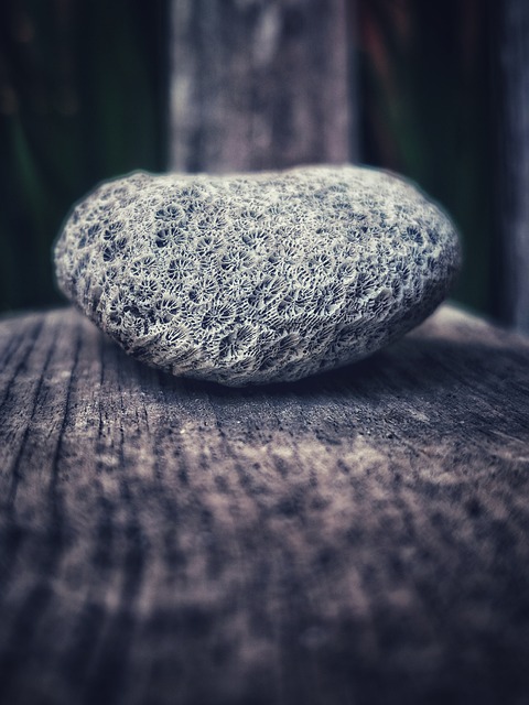 Free Grey Wood photo and picture