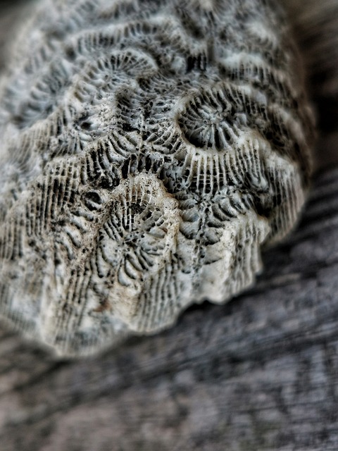 Free Grey Stone photo and picture