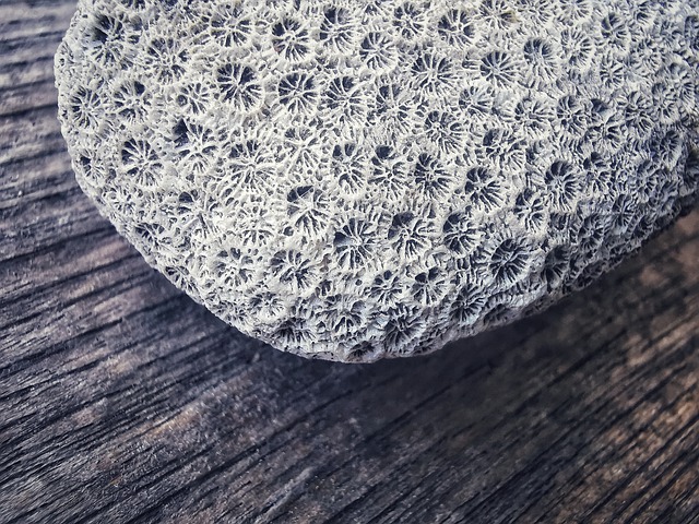 Free Grey Stone photo and picture
