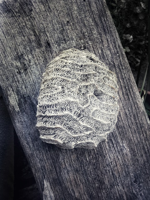 Free Grey Stone photo and picture
