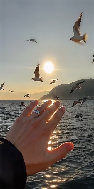 Free 海 Nature ai generated image and illustration