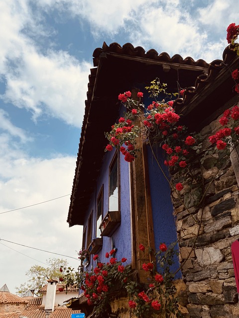 Cumalkızık, Schleimbeutel, Haus, Hölzern