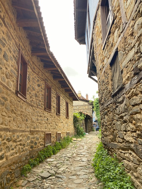 Cumalkızık, Schleimbeutel, Haus, Hölzern