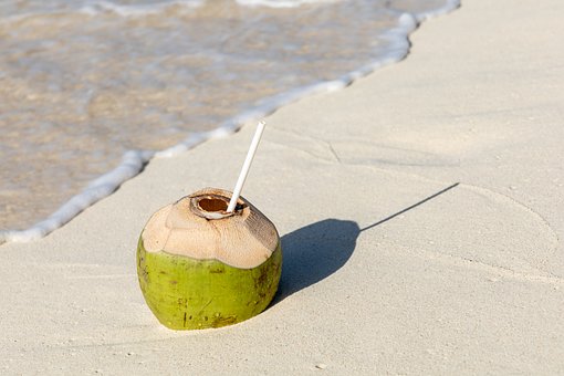 Free Coconut Vacations photo and picture