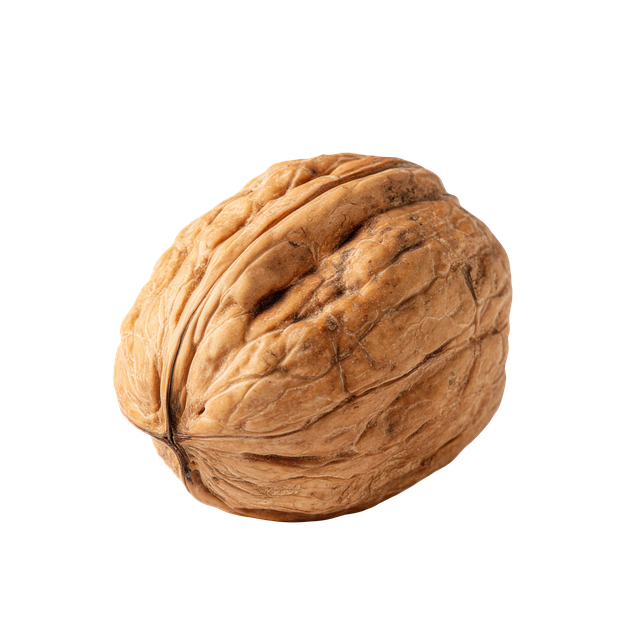 Free walnut nut food illustration