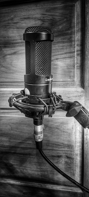 Stem, Audio, Studio, Microfoon, Muziek