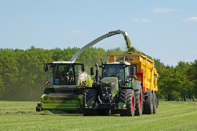Free Grass Chopping photo and picture