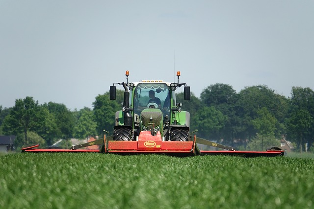 Free Grass Mow photo and picture