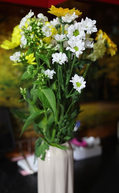 Natur, Blomstre, Flora, Plante, Blomst