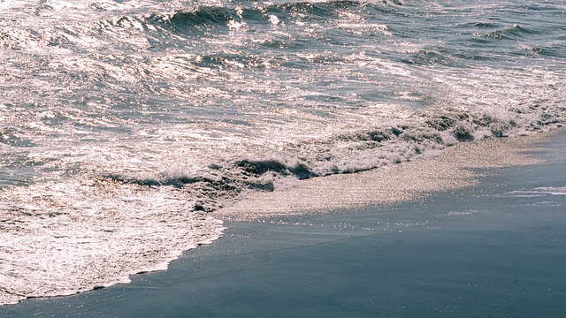 Free Beach Nature photo and picture