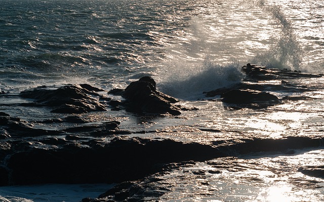 Free Sea Nature photo and picture
