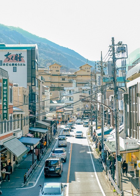 Free Japan Tokyo photo and picture