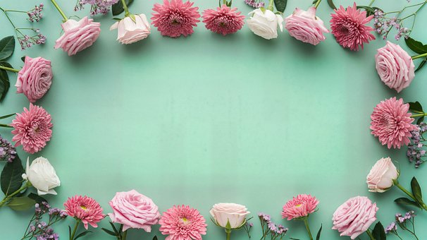 Free Flower Rose illustration and picture