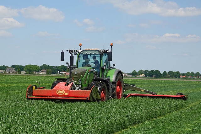 Free Grass Mow photo and picture