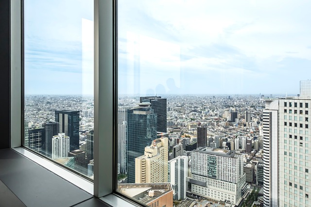 Free Tokyo Bird'S-Eye View photo and picture