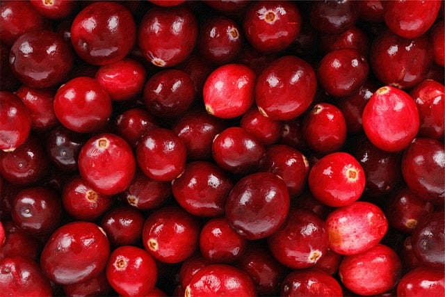 Free cranberries fruit red illustration
