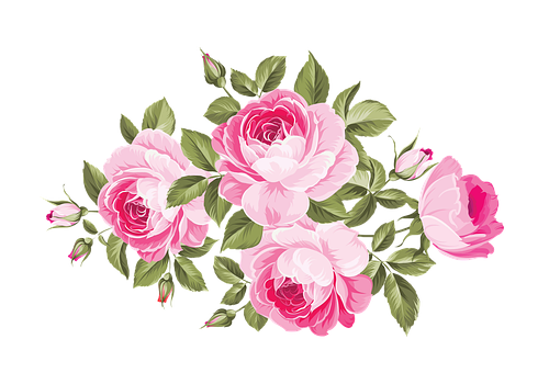 Blomst, Bloom, Anlegg