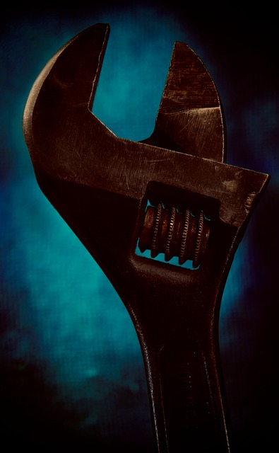 Free Wrench Cresent photo and picture