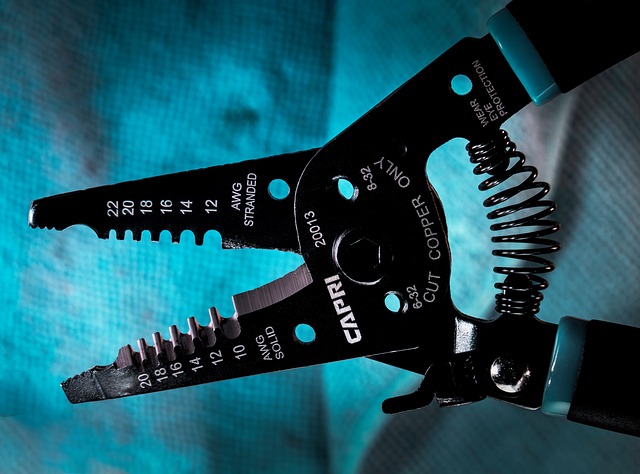 Free Black Blue photo and picture