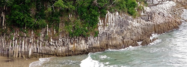 Free Beach Sea photo and picture