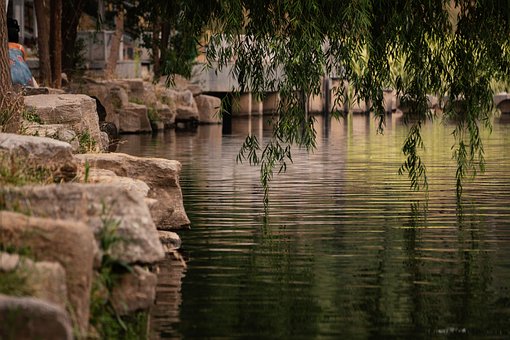 Free Riverside Summer photo and picture