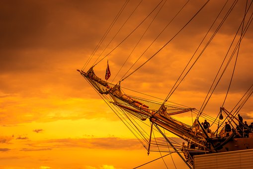 Barca De Navigat, Vespucci, Copaci