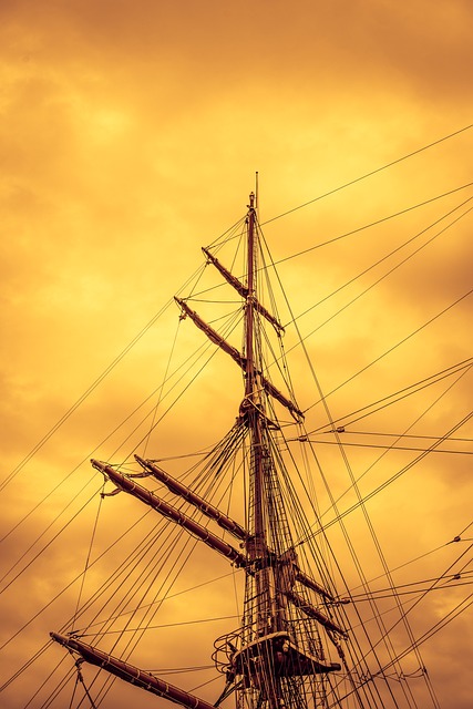 Copac, Apus De Soare, Barca De Navigat
