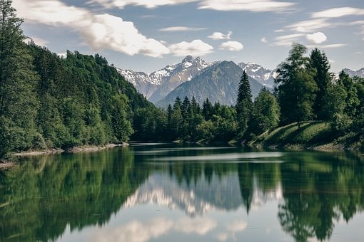 Free Trees Mountains photo and picture