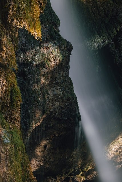 Free Alps Mountains photo and picture