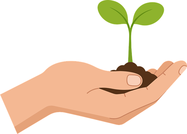Free plant gardening growth vector