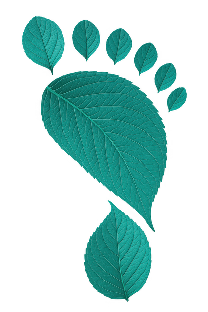 Free leaf footprint eco symbol environmental design illustration