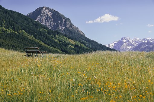 Free Alps Bank photo and picture