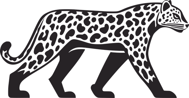 Free leopard nature snow leopard vector