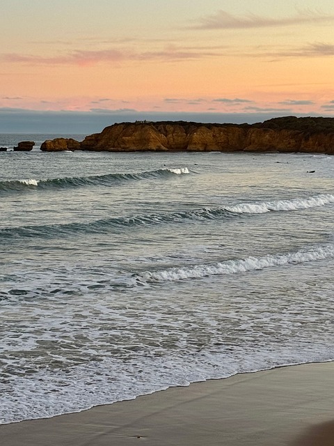 Free Beach Nature photo and picture
