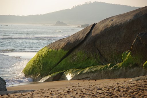 Natur, Meer, Umgebungsperspektive