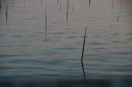 Landschaft, Wasser, Welligkeit, Stöcke